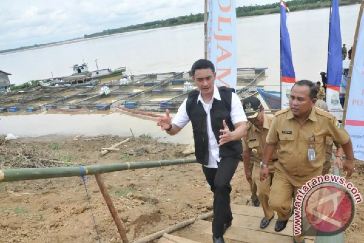 Sentra Ikan Pematang Jering Hasilkan 10 Ton Ikan Per Hari