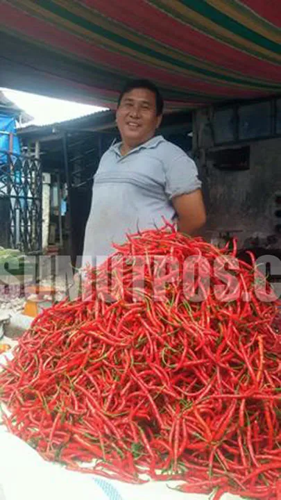 Produksi Cabai Diperkirakan Meningkat, Harga Segera Stabil