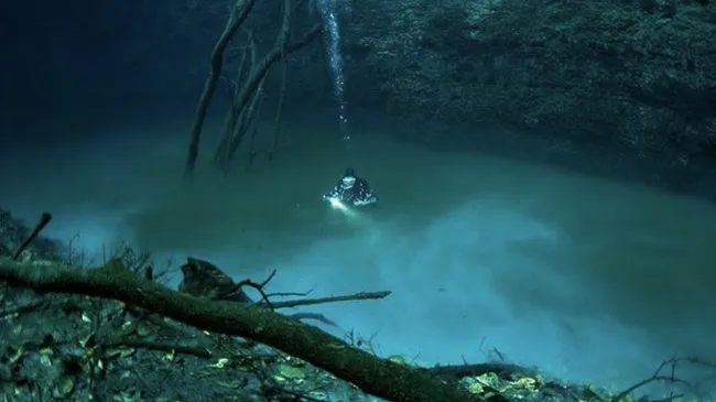 Fenomena Cenote Angelita di Meksiko: Sungai di Bawah Laut yang Tercatat dalam Al-Qur'an