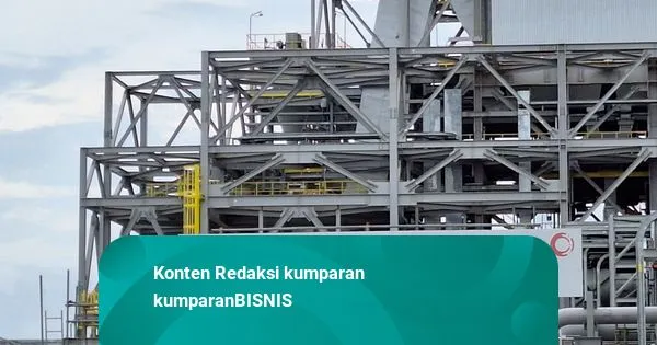 Pemerintah Indonesia Kuasai 63% Saham Freeport pada 2023