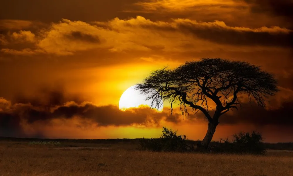 Menggali Keajaiban Migrasi Satwa di Safari Serengeti