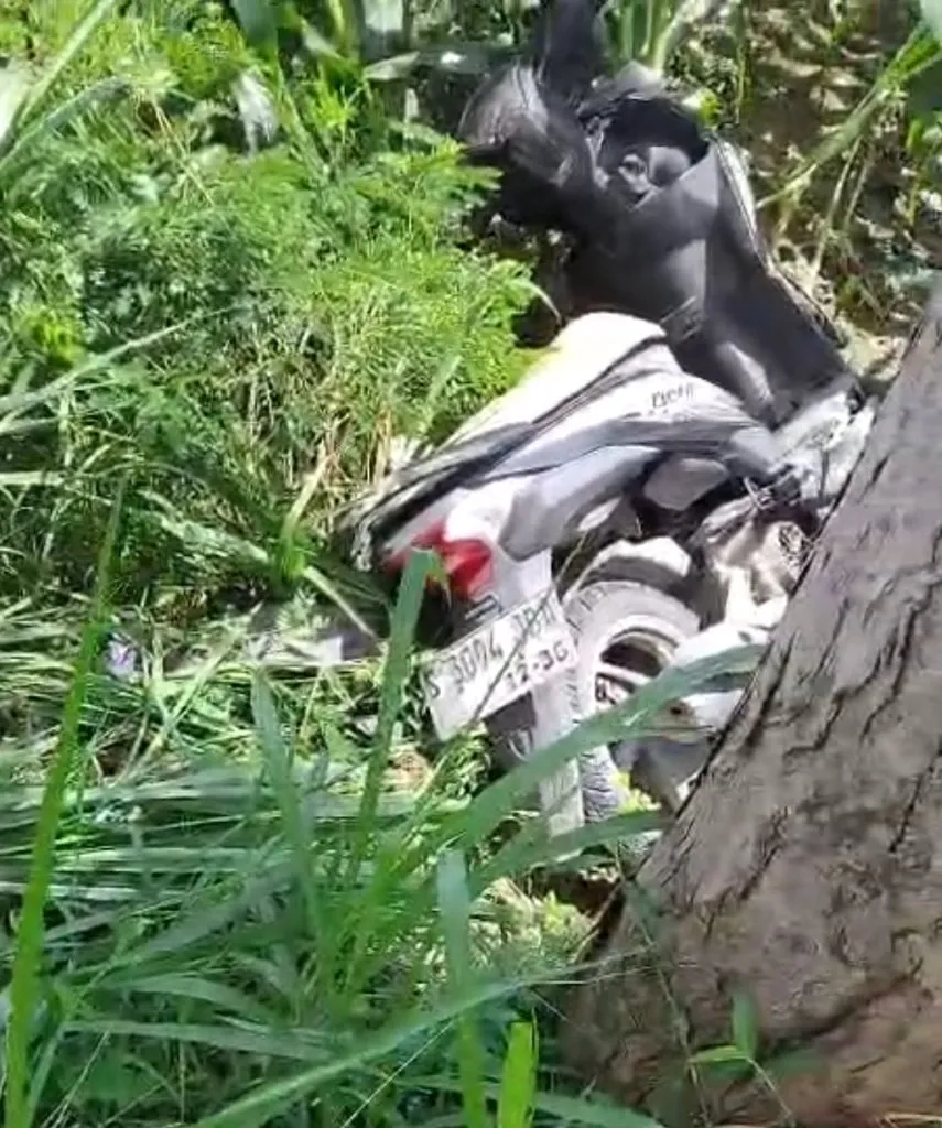 Polisi Selidiki Penemuan Motor Honda Beat di Ladang Jagung Maor