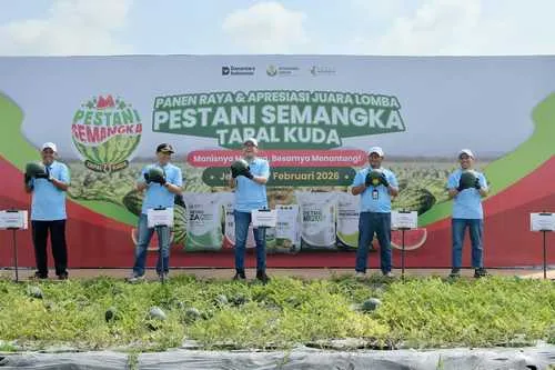 Lomba Budidaya Semangka Petrokimia Gresik Tingkatkan Produktivitas di Musim Hujan