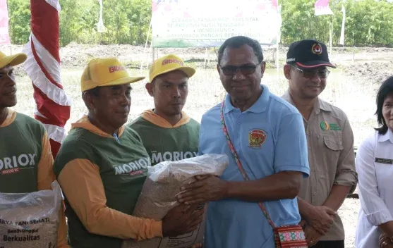 Wagub NTT Dorong Pengembangan Sorgum dan Jagung untuk Ketahanan Pangan