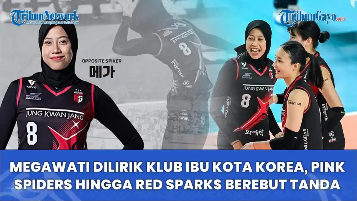 Megawati Dilirik Klub V-League Korea, Perburuan Tanda Tangan Memanas