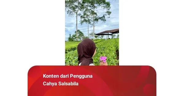 Pelajaran Berharga dari Ruang Redaksi: Memahami Proses Jurnalistik