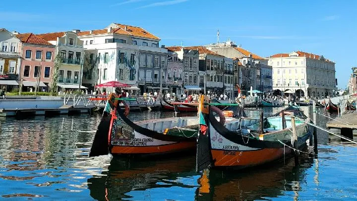 Aveiro: Pesona Venesia di Portugal yang Menawan