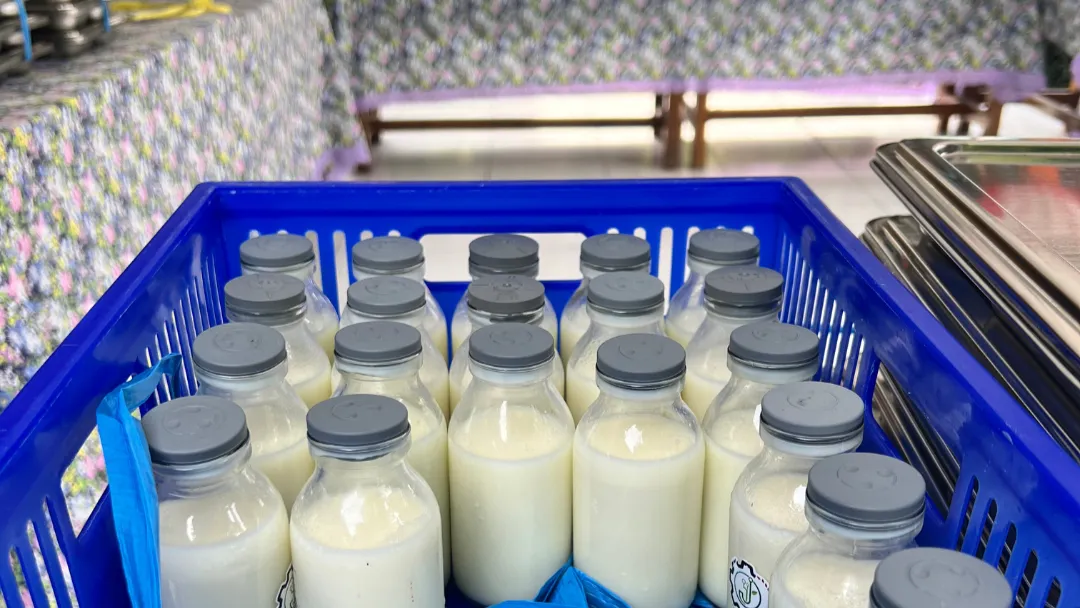 Kandungan Susu MBG: Penjelasan Terkait Persentase Susu Segar
