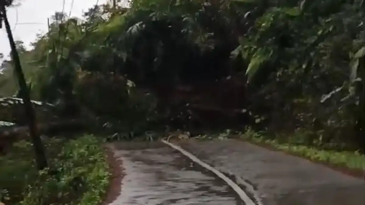 Jalan Poros Paguyangan-Kaligoa di Brebes Tertutup Longsor, Evakuasi Terkendala Cuaca