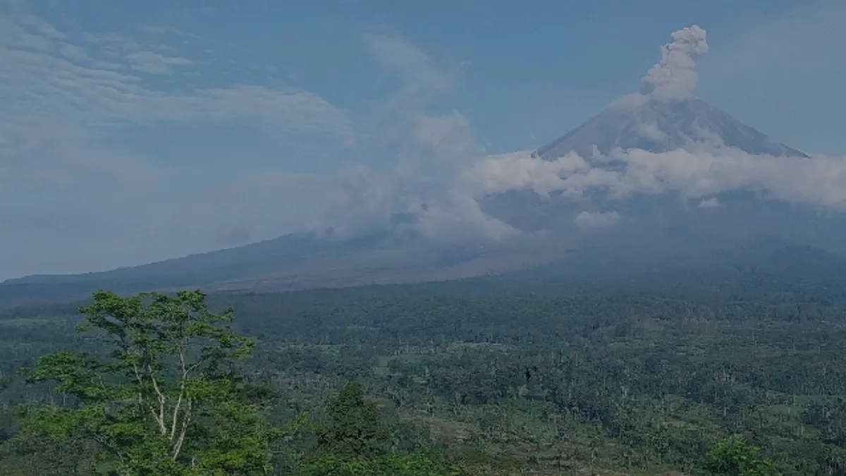 Letusan Gunung Semeru Terpantau dengan Ketinggian Kolom Abu Hingga 1000 Meter
