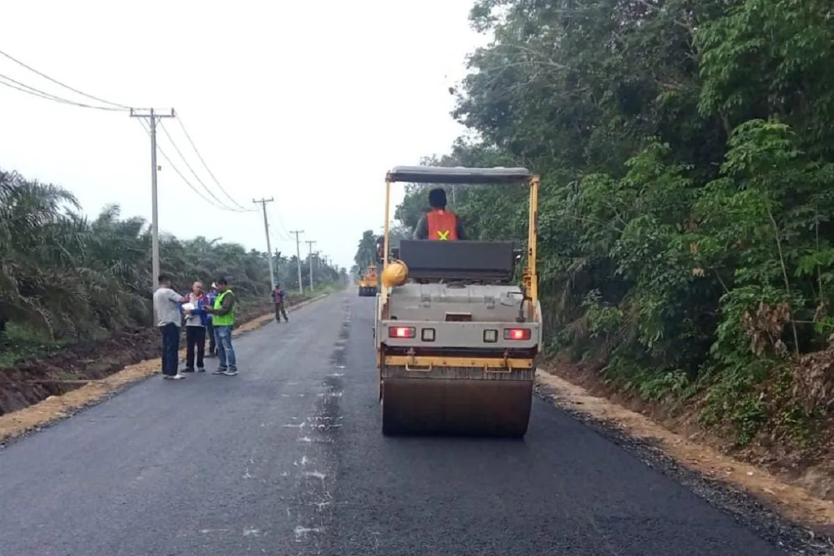 Pembangunan Jalan Nasional Menuju Sentra Produksi Nanas di Muarojambi Hampir Rampung