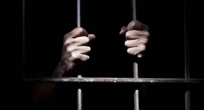 Tiga Pelaku Penembakan dan Perusakan di Kebun Sawit Diamankan Polisi
