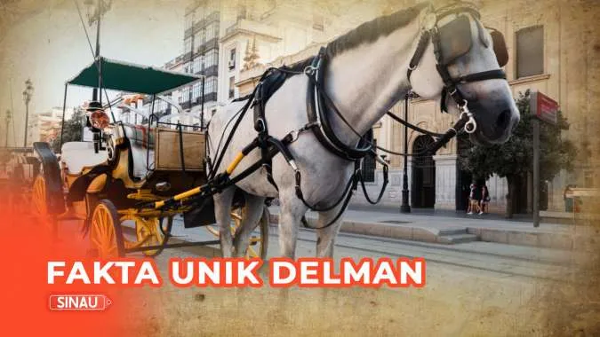 Fakta Menarik Seputar Delman, Transportasi Tradisional Indonesia
