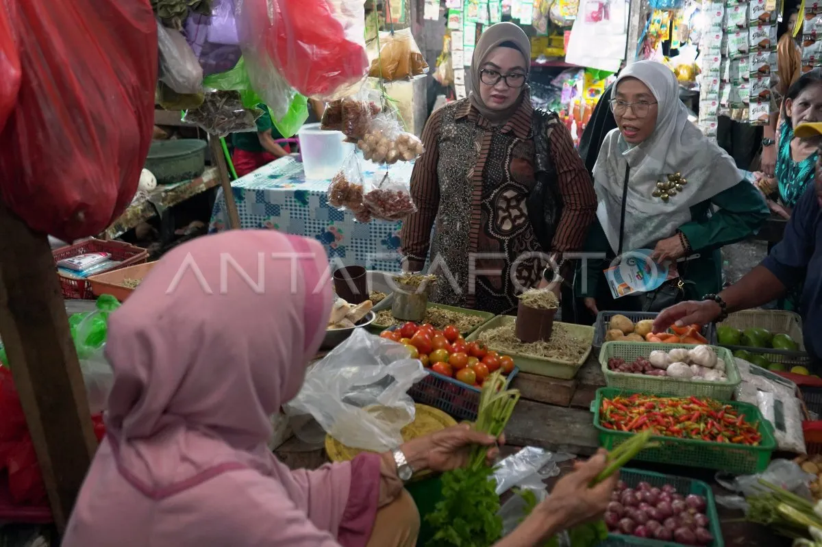 Kunjungan Komisi IX DPR Pastikan Keamanan Pangan di Pasar Maricaya Makassar
