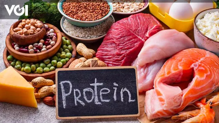 Keamanan Diet Tinggi Protein untuk Kesehatan Ginjal