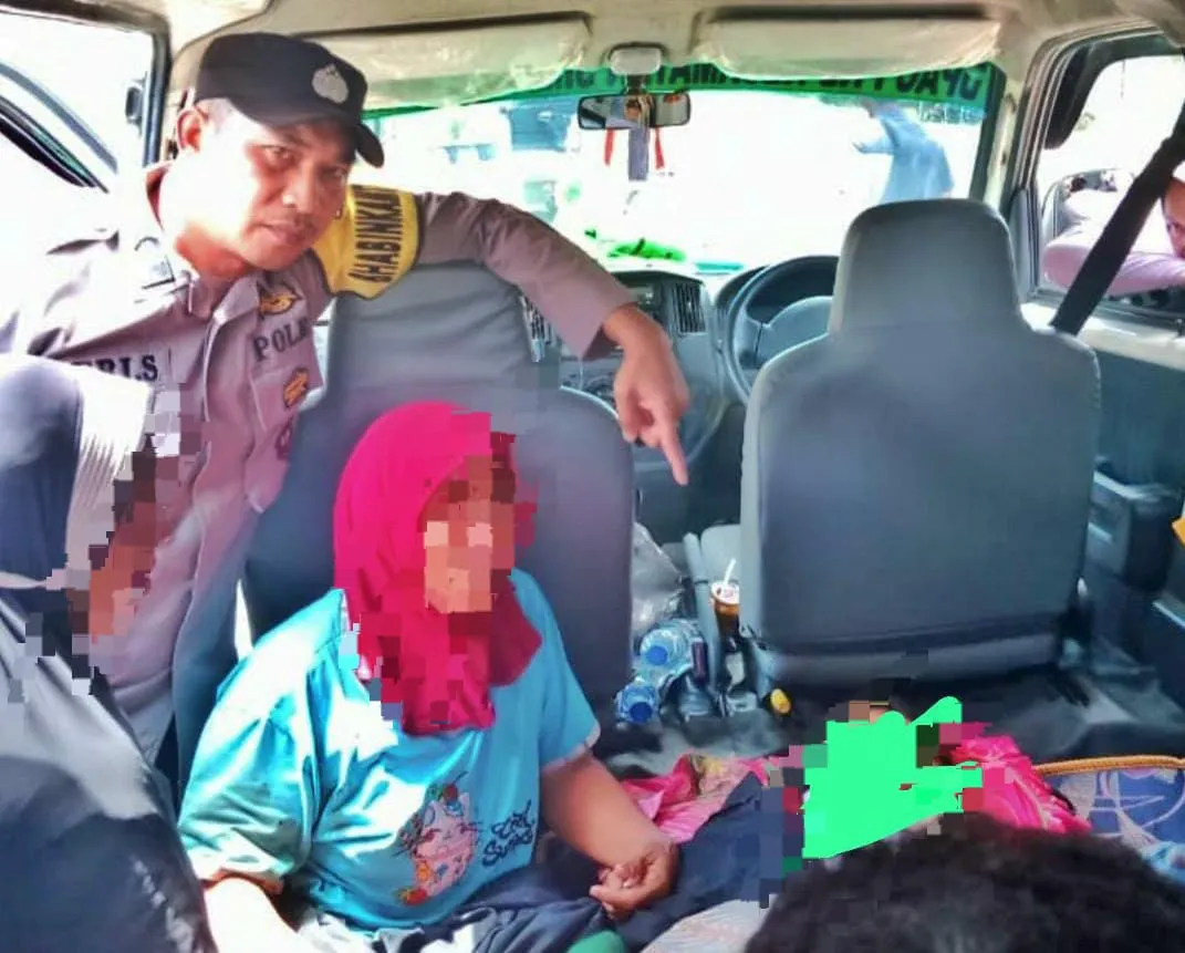 Petani Meninggal Setelah Diserang Kawanan Gajah Liar di Pintu Rime Gayo