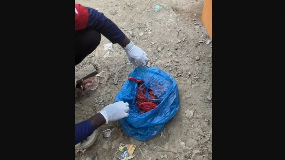 Polisi Selidiki Dugaan Teror Bangkai Anjing di Posko Relawan Aceh Tamiang