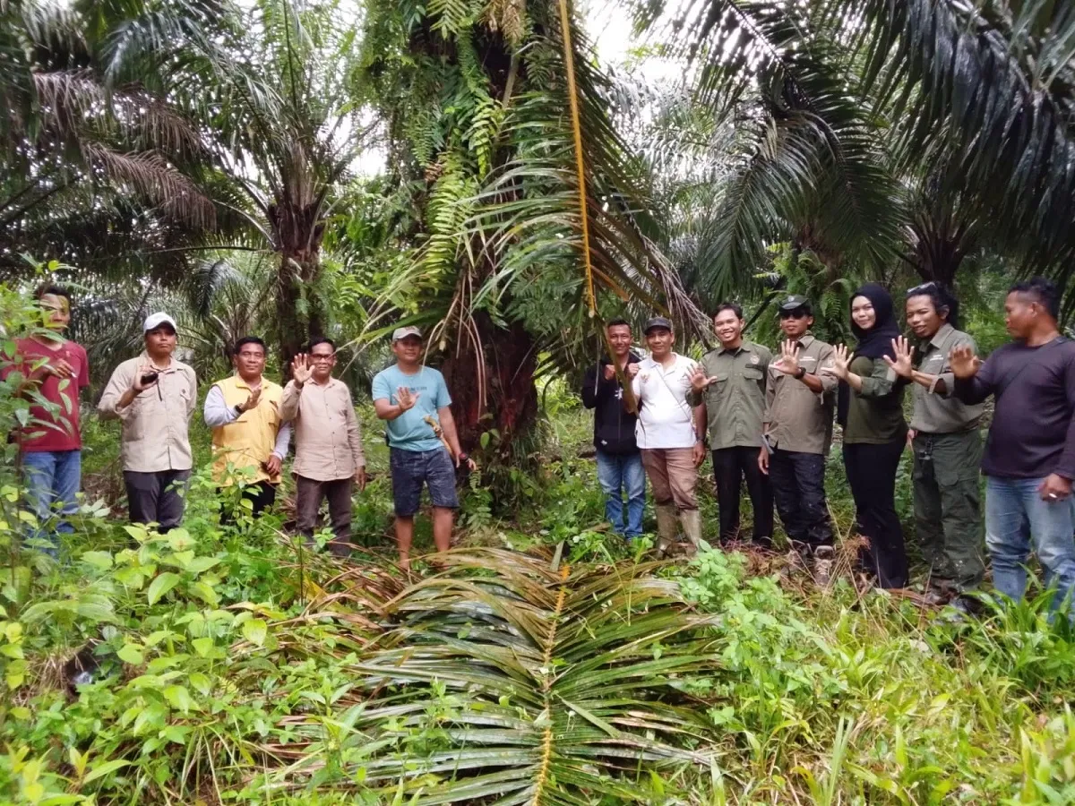 Koperasi AAP Lakukan Ploting Lahan Sengketa 855 Hektare di Kerabu