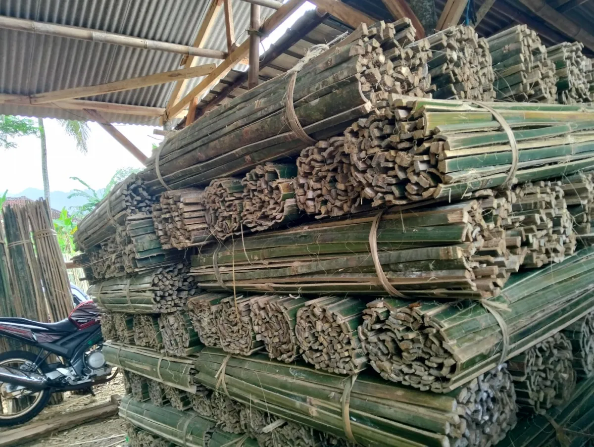 Bambu Galuh Ciamis: Produksi Tuturus Ajir Berkualitas Tembus Pasar Internasional
