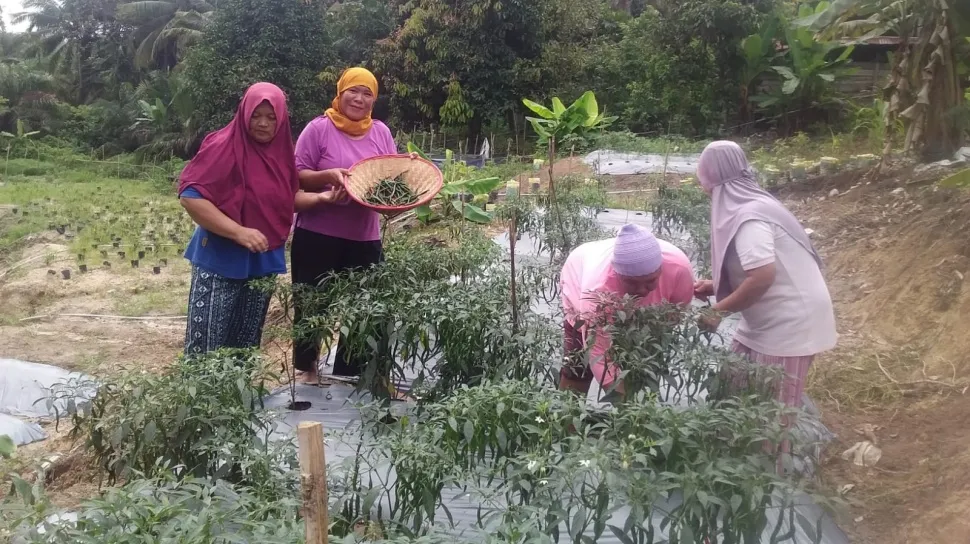 PTBA Luncurkan Program EcoGrow Mom untuk Pemberdayaan Perempuan Melalui Urban Farming