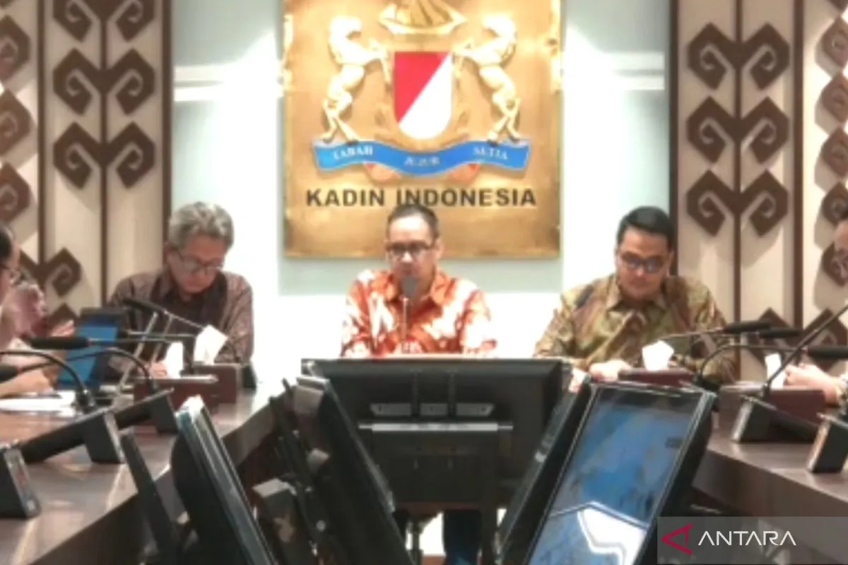 Kadin Dorong Regulasi Ekonomi Digital yang Mendukung Pertumbuhan