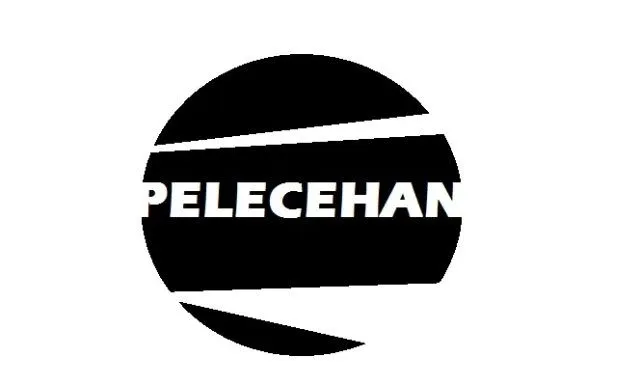 Fe Dijatuhi Hukuman Kerja Sosial Setelah Lecehkan Anak