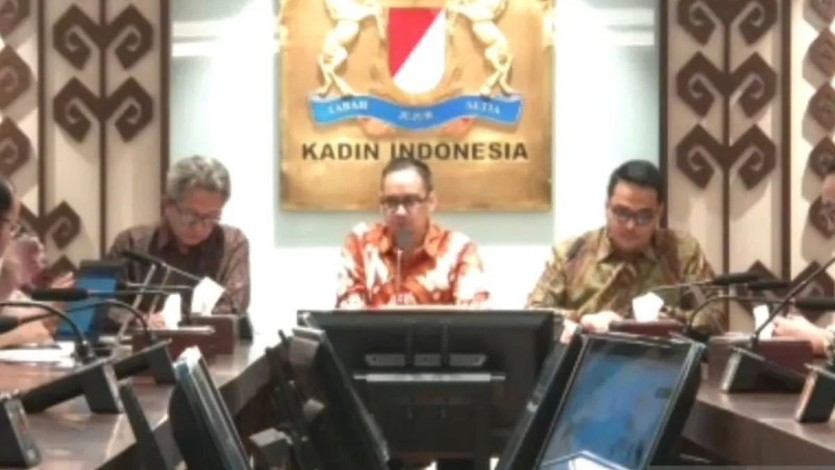 Kadin Serukan Regulasi Ekonomi Digital yang Mendukung Pertumbuhan Usaha