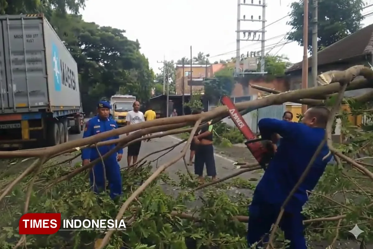 Evakuasi Pohon Tumbang oleh Satpolairud Polresta Banyuwangi