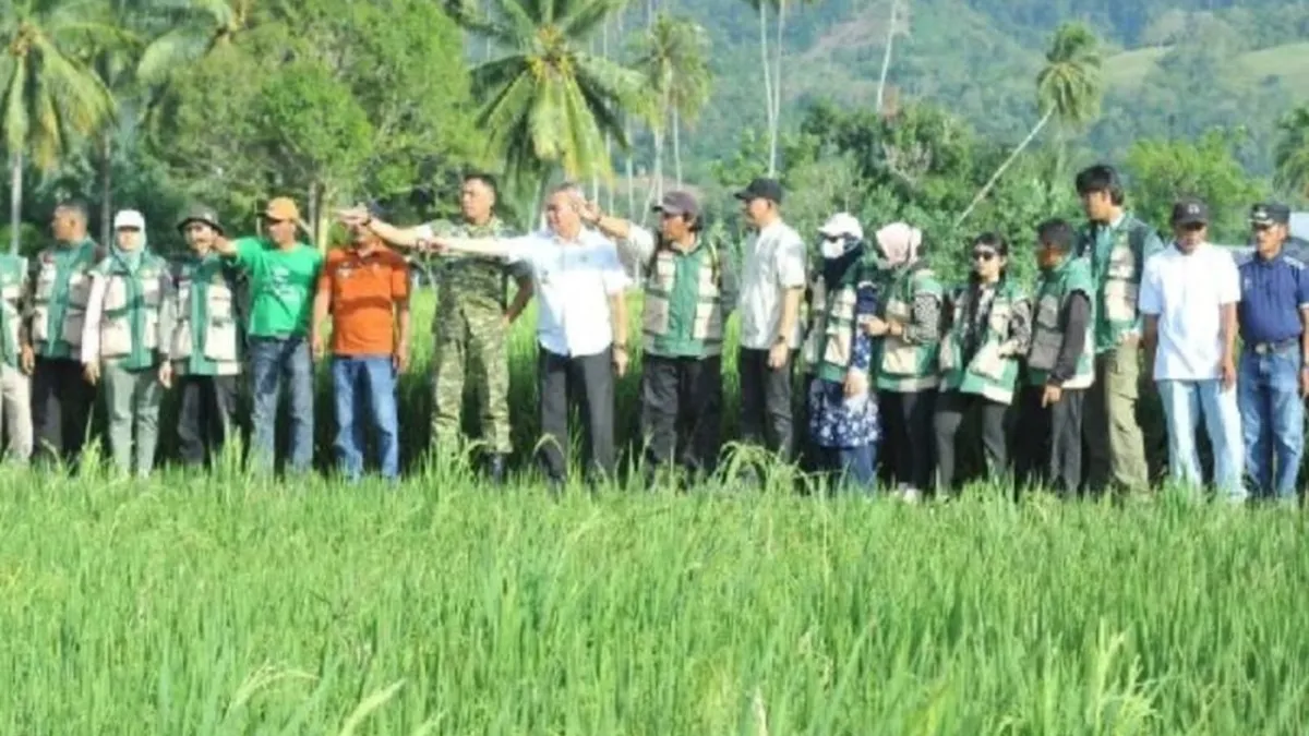 Produktivitas Pertanian Dorong Stabilitas Ekonomi Kabupaten Sigi