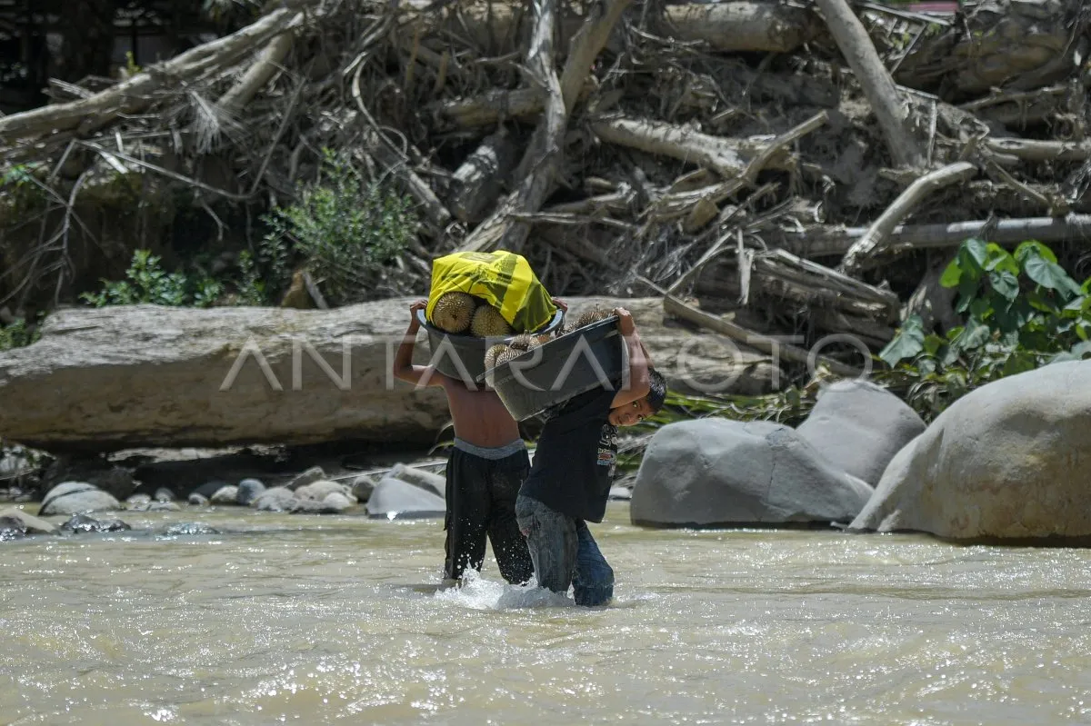 Akses Desa Sibio-Bio Terhambat Akibat Jembatan Rusak