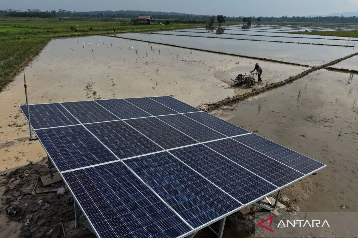 AS Kenakan Tarif Ratusan Persen untuk Panel Surya dari Indonesia dan India