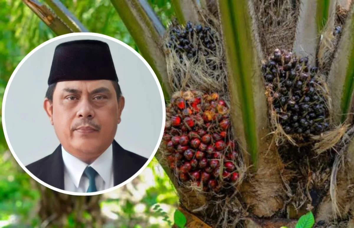Penjarahan Hasil Kebun Sawit di Kalimantan Tengah Ancam Iklim Investasi, Pengamat Ekonomi Serukan Penegakan Hukum yang Konsisten