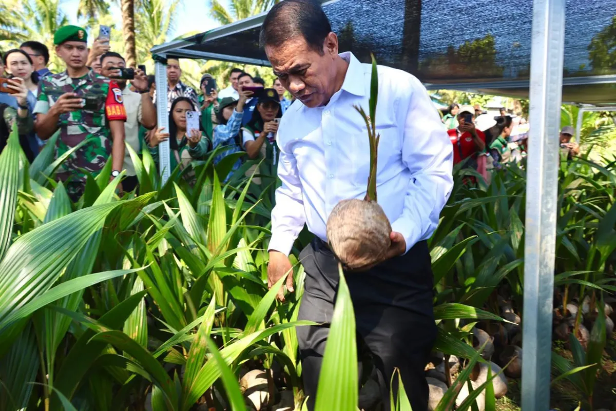 Menteri Pertanian Tinjau Kebun Pembibitan Kelapa di Manado, Temukan Berbagai Ketidaksesuaian