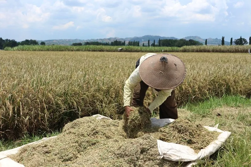 Impor Produk Pertanian AS Rp75 Triliun Tanpa Dana APBN