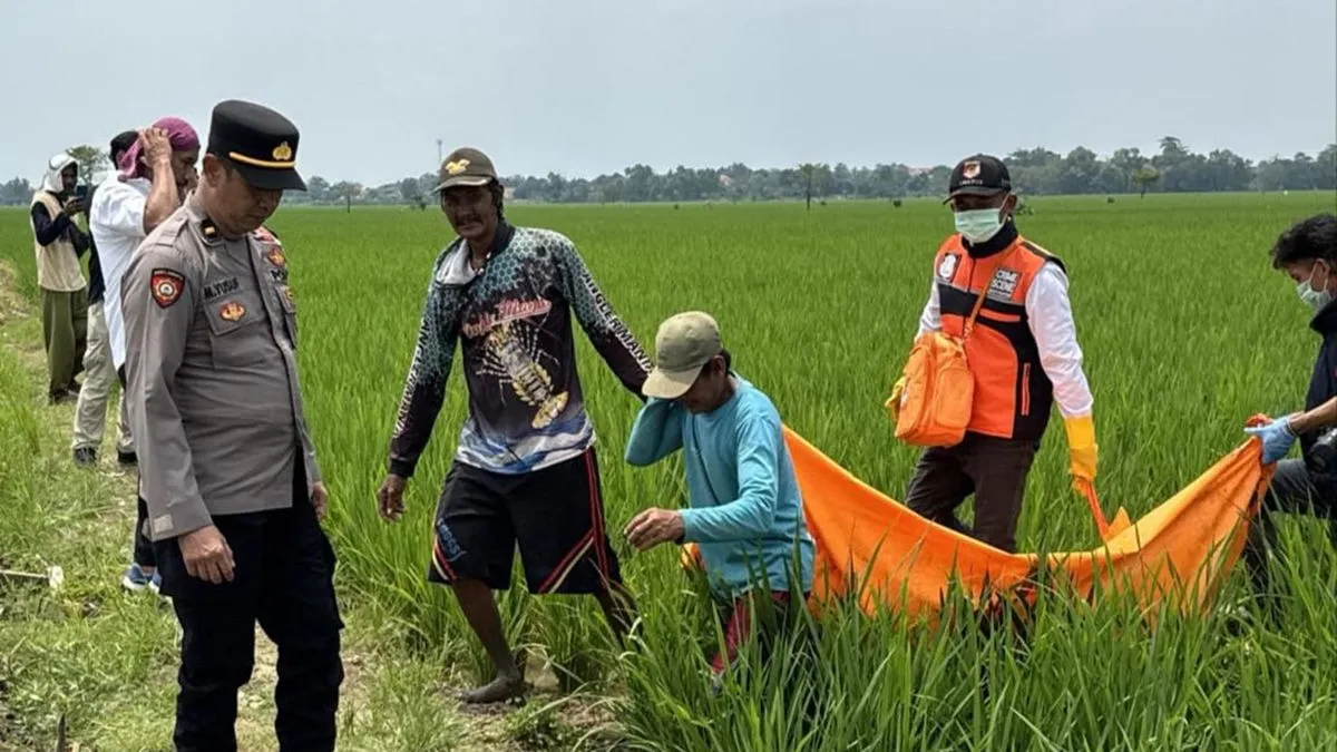 Mayat Pria Ditemukan di Sawah Desa Sumber Kulon, Majalengka