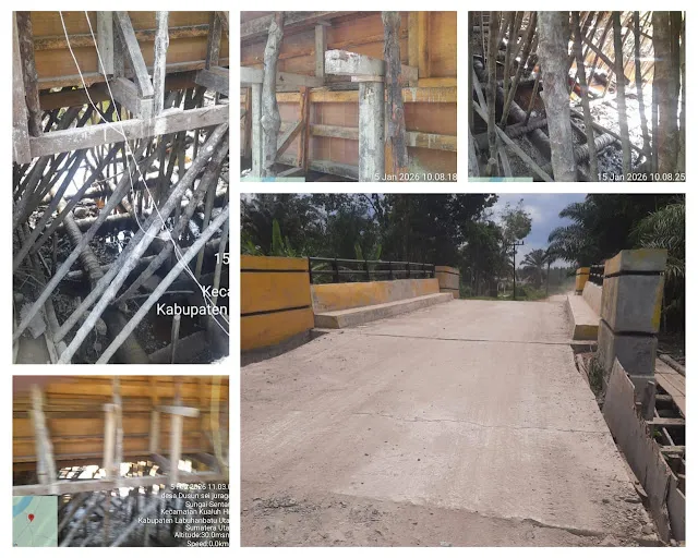 Skandal Kerusakan Mangrove di Proyek Jembatan Sungai Juragan: Dugaan Kolusi dan Ketidakpedulian Birokrasi