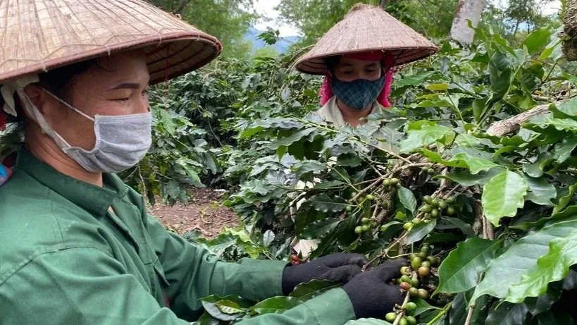 Pemberdayaan Masyarakat Kunci Pengurangan Kemiskinan Berkelanjutan