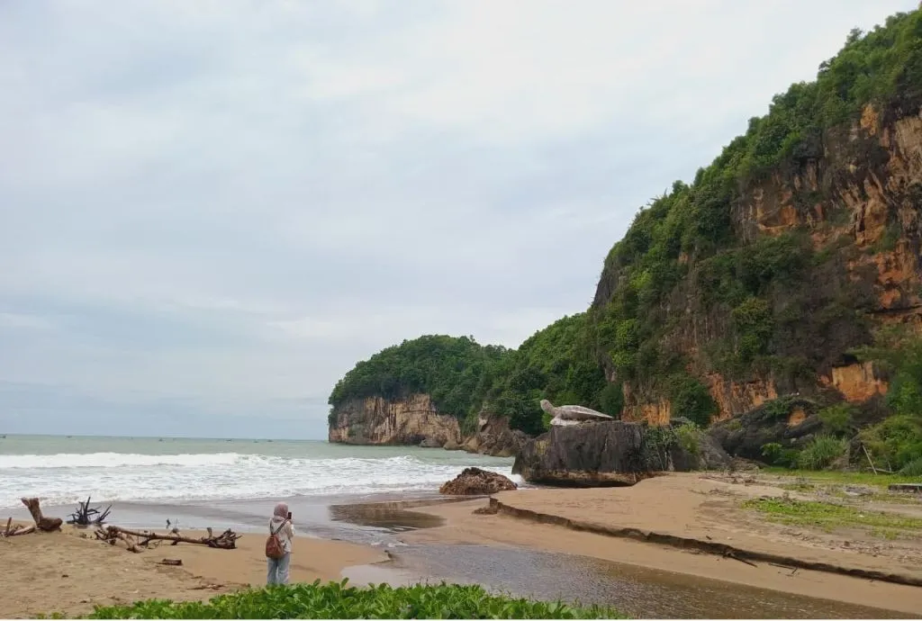 Pelestarian Penyu di Pantai Taman Pacitan Tetap Berjalan Meski Terbatas Dana