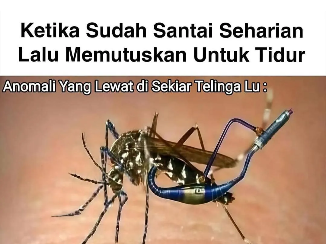 Meme Unik tentang Anomali dalam Kehidupan Sehari-hari
