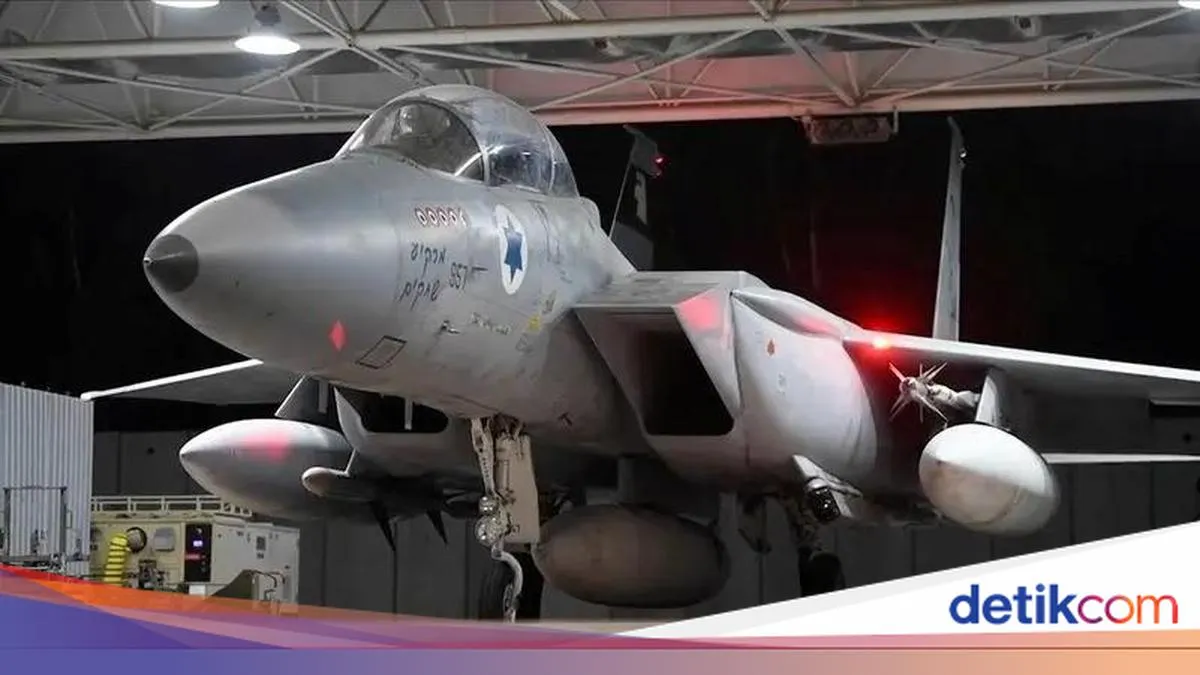 Migrasi Burung Ganggu Operasi Jet Tempur Israel di Tengah Perang