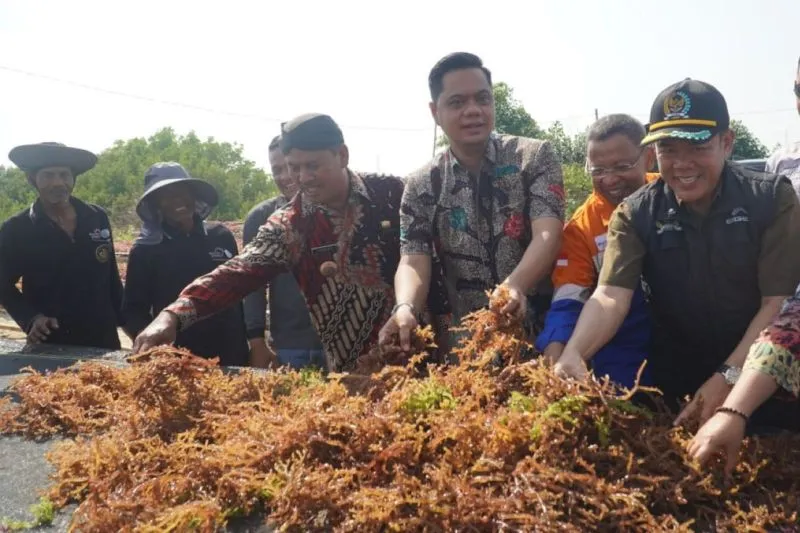 Kawasan Pesisir Bondo Jepara Diharapkan Menjadi Sentra Budidaya Rumput Laut