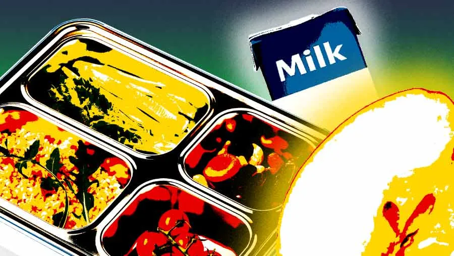 Kritik Terhadap Program Makan Bergizi Gratis: Evaluasi BGN Dinilai Terlambat