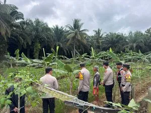 Polsek Sebatik Barat Lakukan Monitoring Perawatan Jagung untuk Ketahanan Pangan
