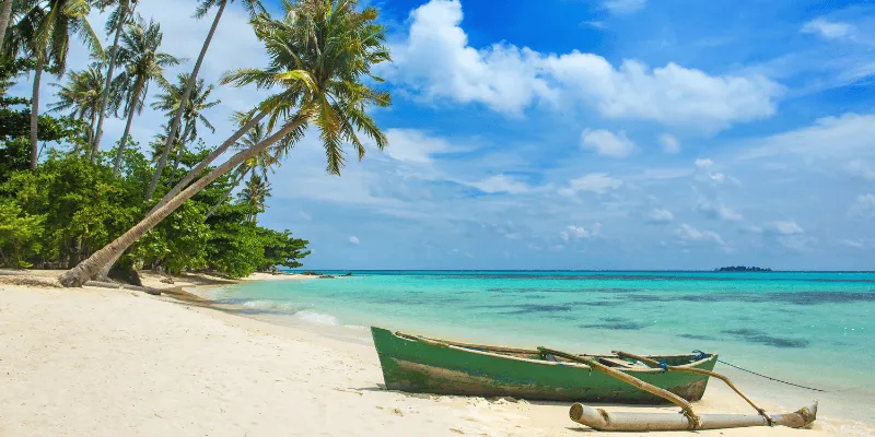 Mahasiswa UGM Teliti Dampak Pariwisata terhadap Lingkungan dan Kesejahteraan di Karimunjawa