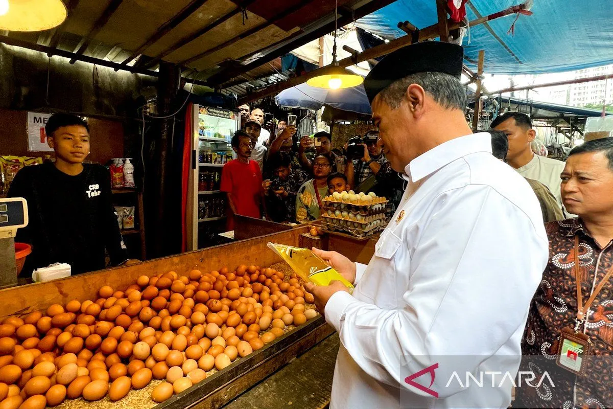 Mentan Tegaskan Minyak Goreng Tak Boleh Langka dan Mahal di RI