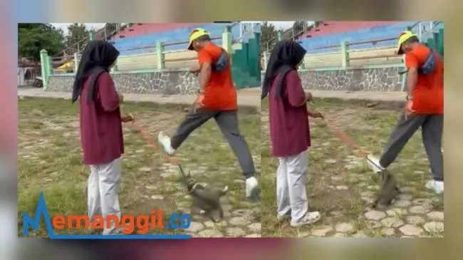 Publik Desak Penegakan Hukum Terhadap Pelaku Pembunuhan Kucing di Blora