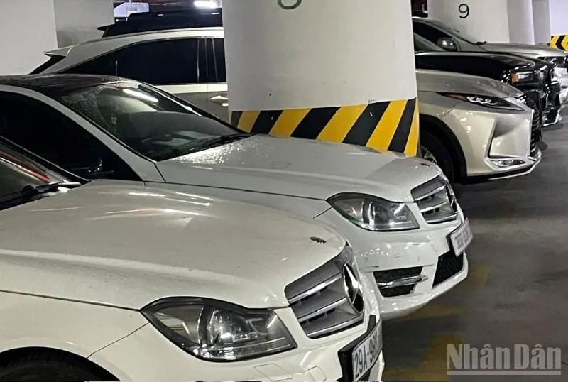 Perubahan Aturan Pelelangan Kuota Tarif Mobil Bekas Impor Resmi Berlaku