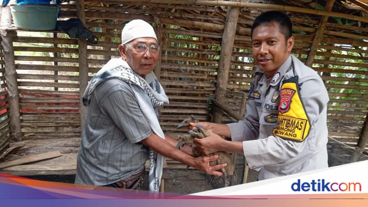 Brigpol Kamaludin Dorong Kemandirian Ekonomi Warga NTB Melalui Pertanian dan Peternakan