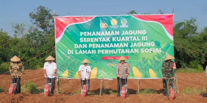 Polres Subang Dukung Ketahanan Pangan dengan Penanaman Jagung di Kampung Sukamahi