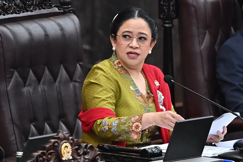 Puan Maharani Minta Pemerintah Antisipasi Hantavirus